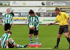 130406 SCG IJsselmeervogels (9)